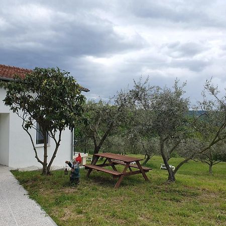 Apartma Zdenko Izola Exterior photo
